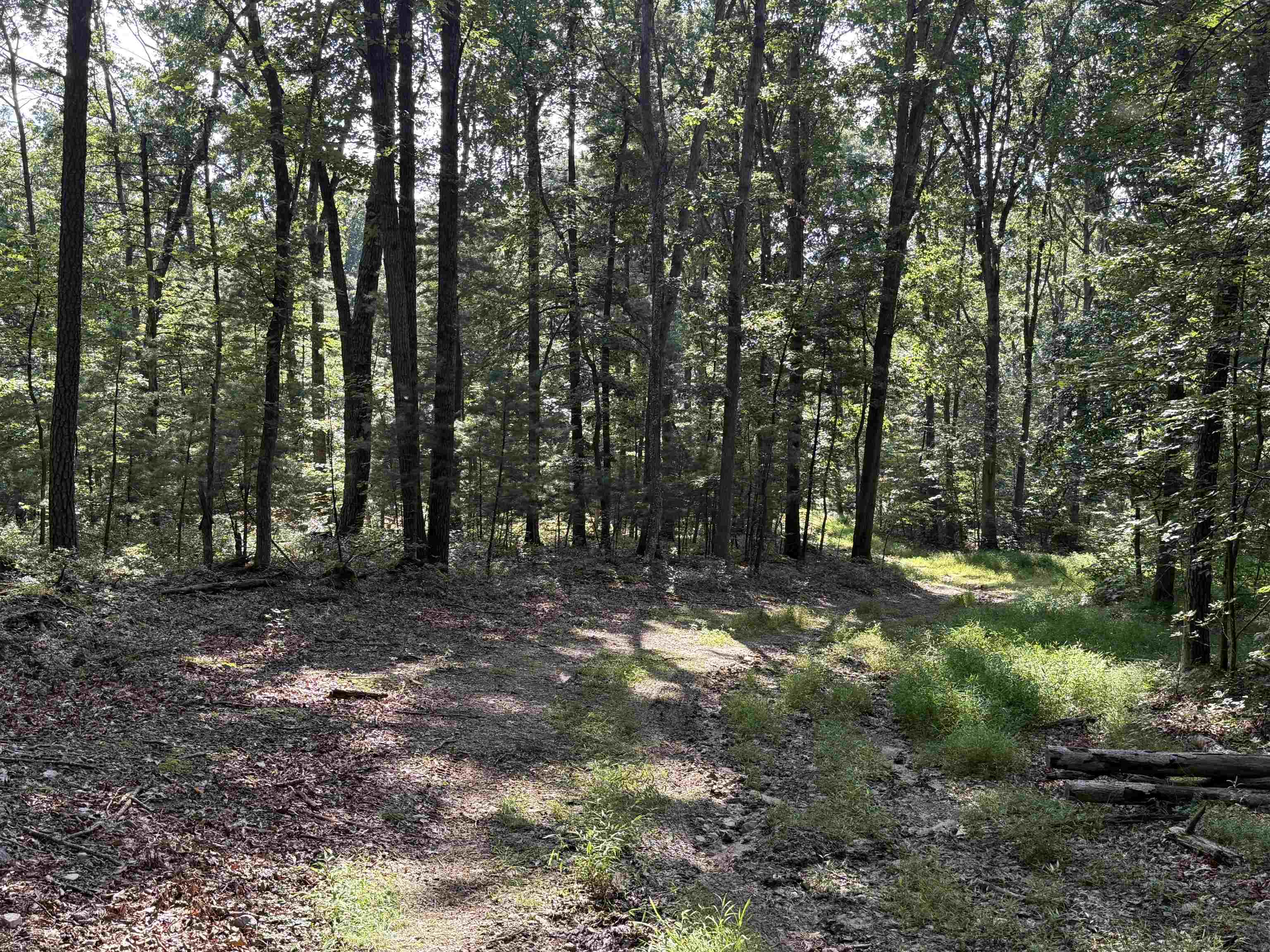 198 acres RUNIONS CREEK RD, BROADWAY, Virginia 22815, ,Farm,198 acres RUNIONS CREEK RD,667929 MLS # 667929