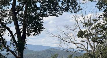 198 acres RUNIONS CREEK RD, BROADWAY, Virginia 22815, ,Farm,198 acres RUNIONS CREEK RD,667929 MLS # 667929