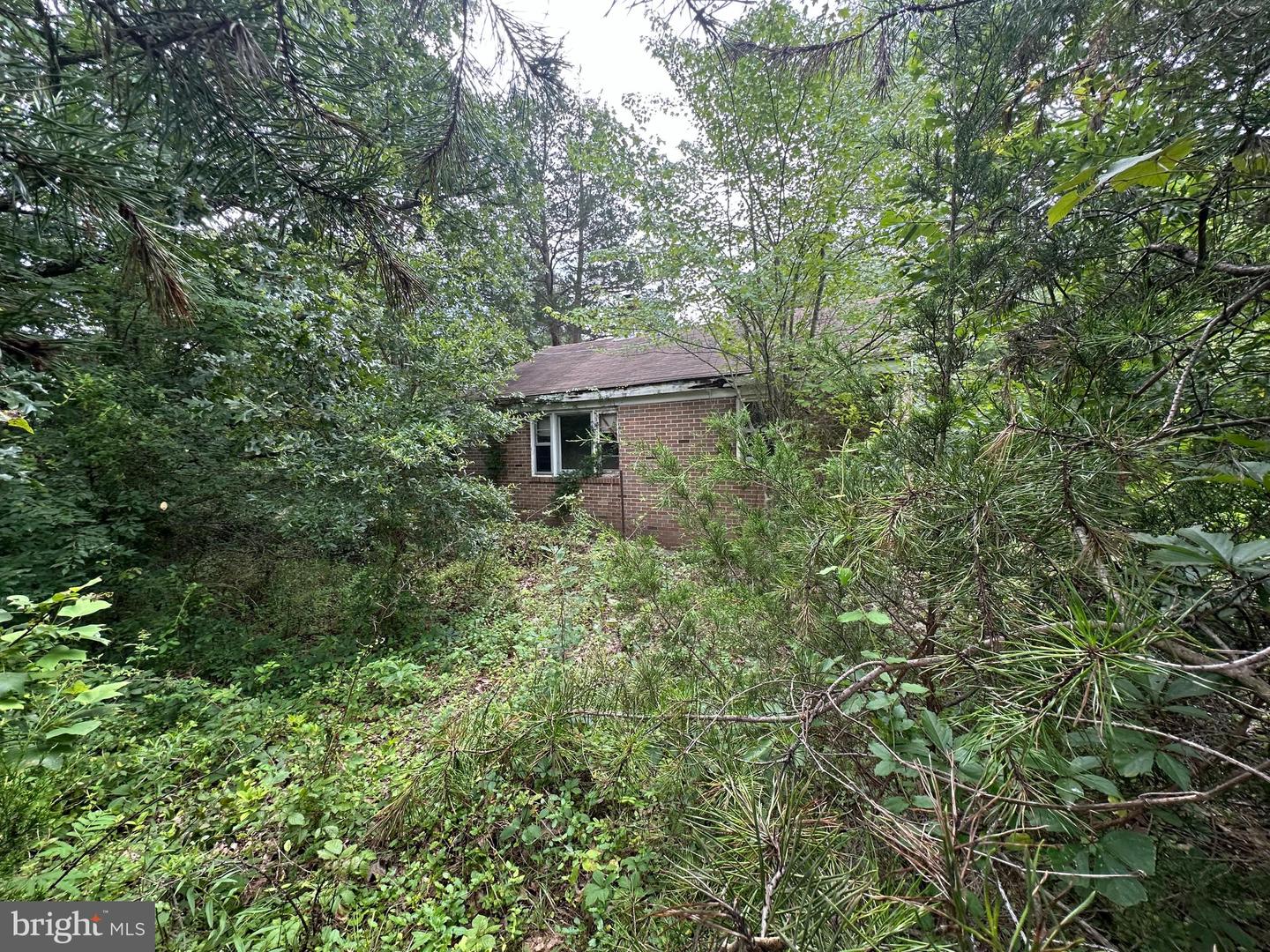 9937 HAYDEN RD, SPOTSYLVANIA, Virginia 22551, ,Land,For sale,9937 HAYDEN RD,VASP2034626 MLS # VASP2034626
