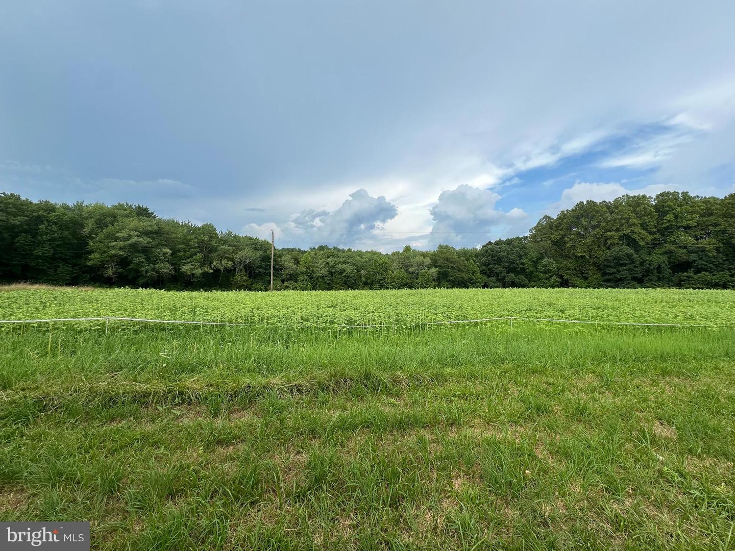 9937 HAYDEN RD, SPOTSYLVANIA, Virginia 22551, ,Land,For sale,9937 HAYDEN RD,VASP2034626 MLS # VASP2034626