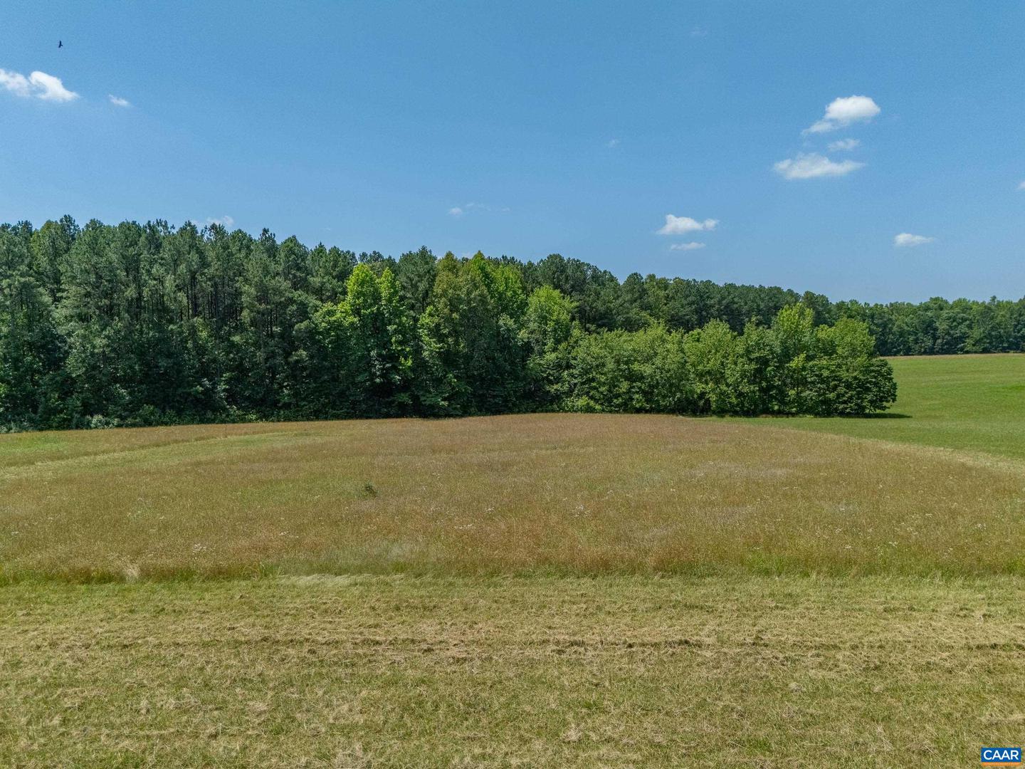 LOT 19 HOLLANDS RD #19, PALMYRA, Virginia 22963, ,Land,For sale,LOT 19 HOLLANDS RD #19,667819 MLS # 667819