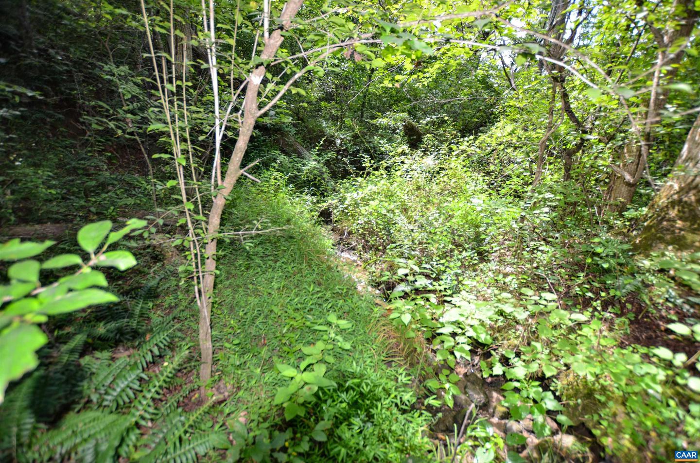 DUDLEY MOUNTAIN RD, NORTH GARDEN, Virginia 22959, ,Land,For sale,DUDLEY MOUNTAIN RD,667914 MLS # 667914
