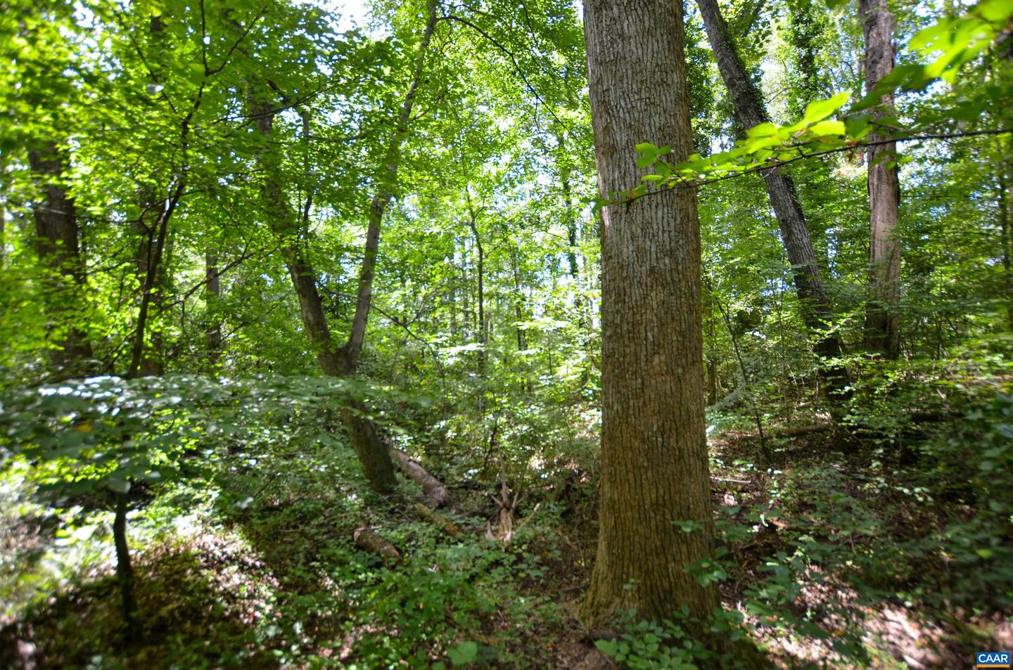 DUDLEY MOUNTAIN RD, NORTH GARDEN, Virginia 22959, ,Land,For sale,DUDLEY MOUNTAIN RD,667914 MLS # 667914
