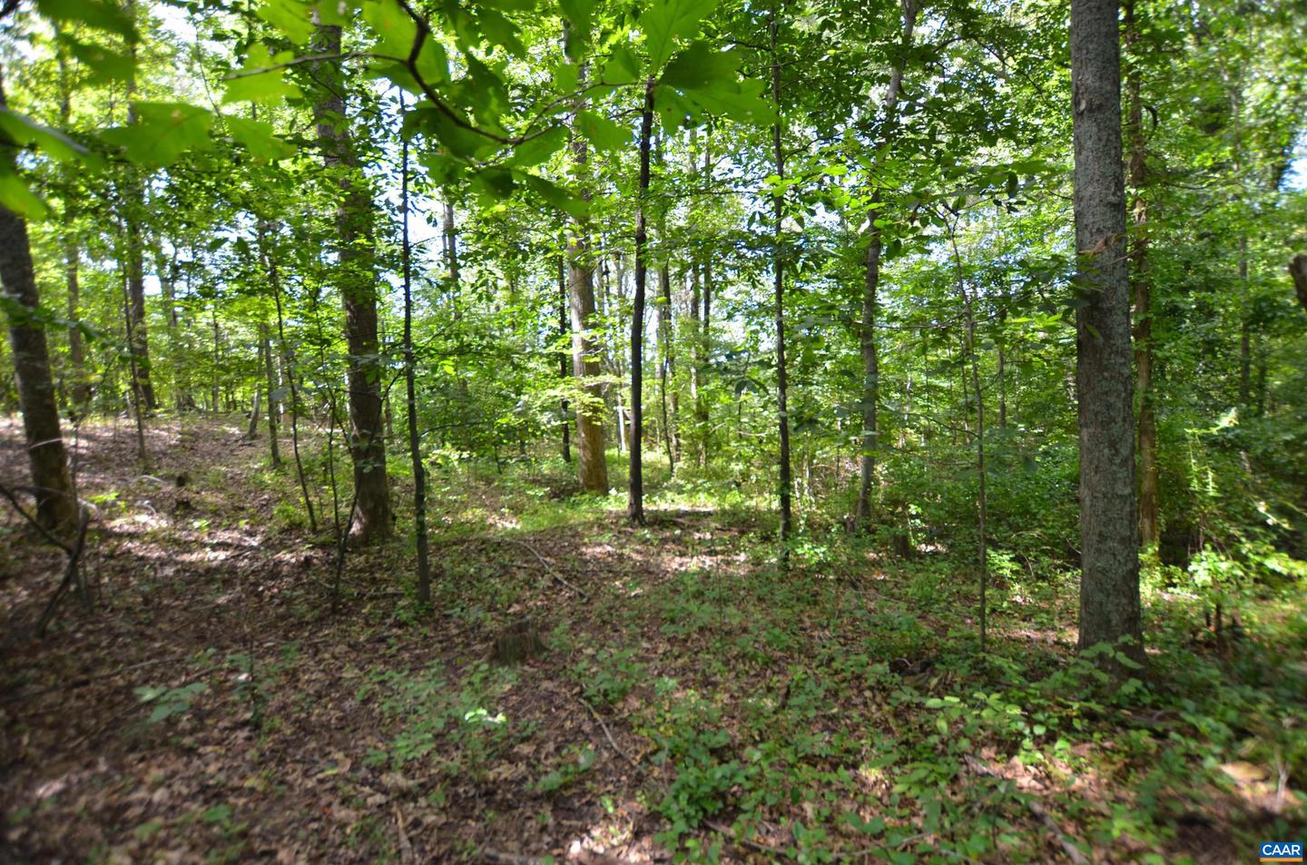 DUDLEY MOUNTAIN RD, NORTH GARDEN, Virginia 22959, ,Land,For sale,DUDLEY MOUNTAIN RD,667914 MLS # 667914