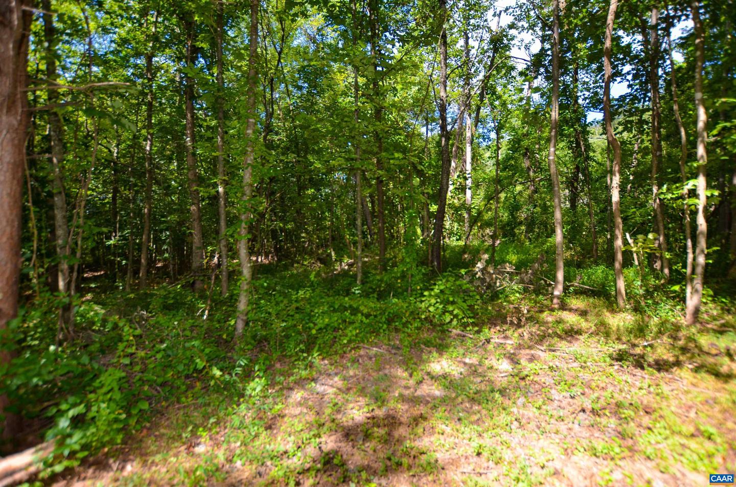 DUDLEY MOUNTAIN RD, NORTH GARDEN, Virginia 22959, ,Land,For sale,DUDLEY MOUNTAIN RD,667914 MLS # 667914