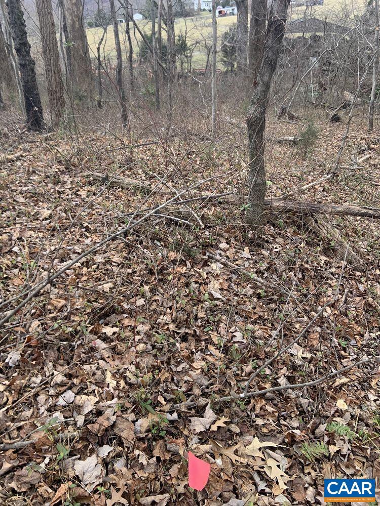 DUDLEY MOUNTAIN RD, NORTH GARDEN, Virginia 22959, ,Land,For sale,DUDLEY MOUNTAIN RD,667914 MLS # 667914