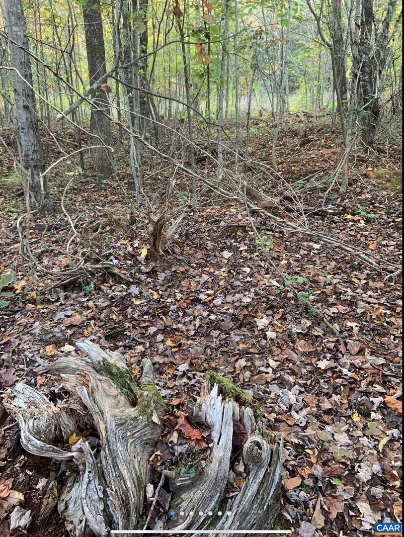 DUDLEY MOUNTAIN RD, NORTH GARDEN, Virginia 22959, ,Land,For sale,DUDLEY MOUNTAIN RD,667914 MLS # 667914