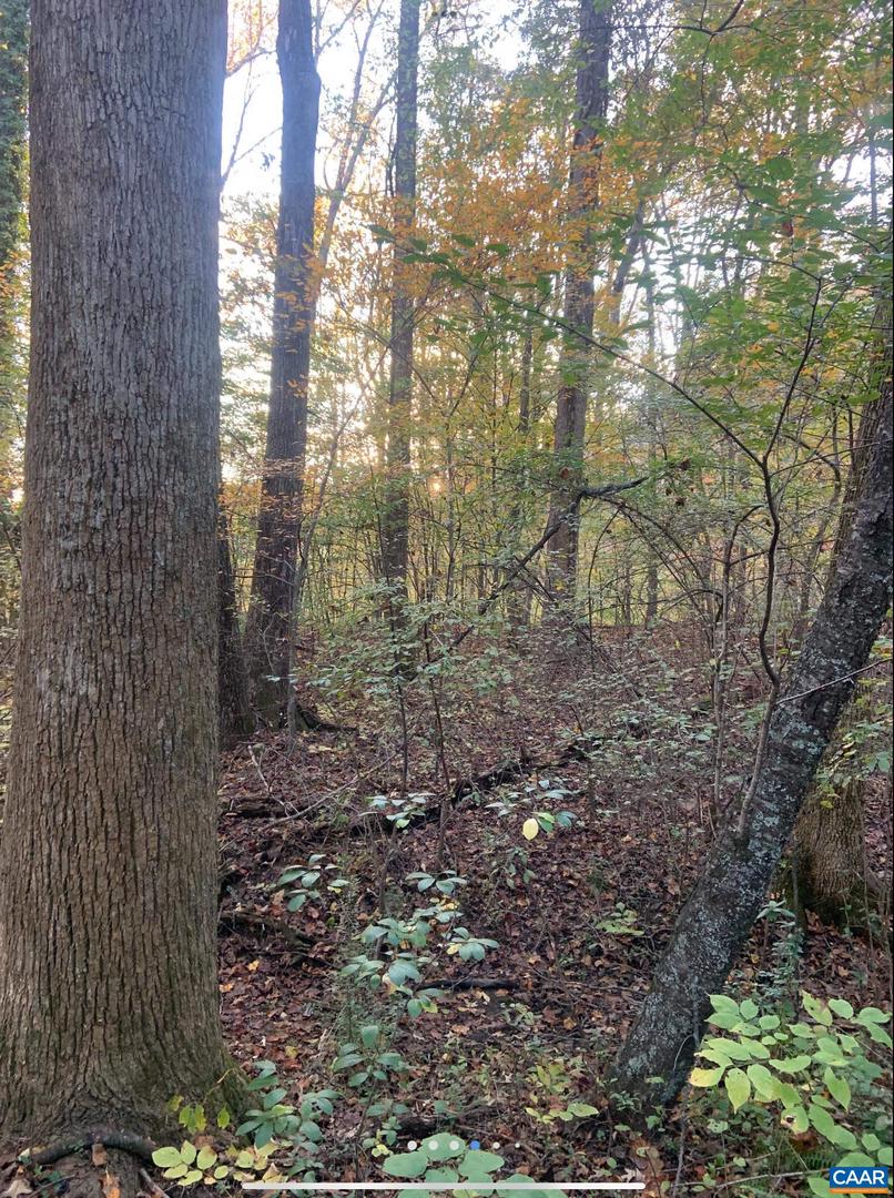 DUDLEY MOUNTAIN RD, NORTH GARDEN, Virginia 22959, ,Land,For sale,DUDLEY MOUNTAIN RD,667914 MLS # 667914