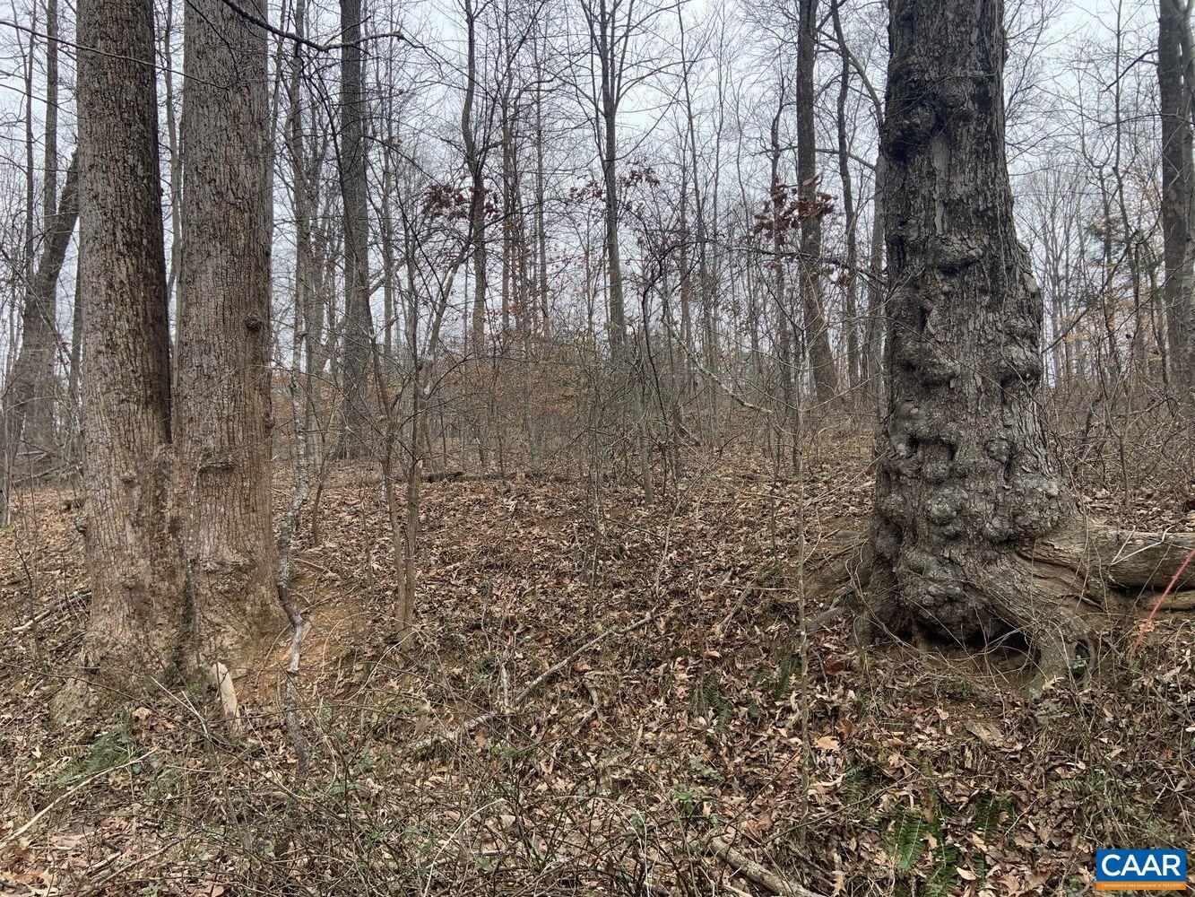 DUDLEY MOUNTAIN RD, NORTH GARDEN, Virginia 22959, ,Land,For sale,DUDLEY MOUNTAIN RD,667914 MLS # 667914