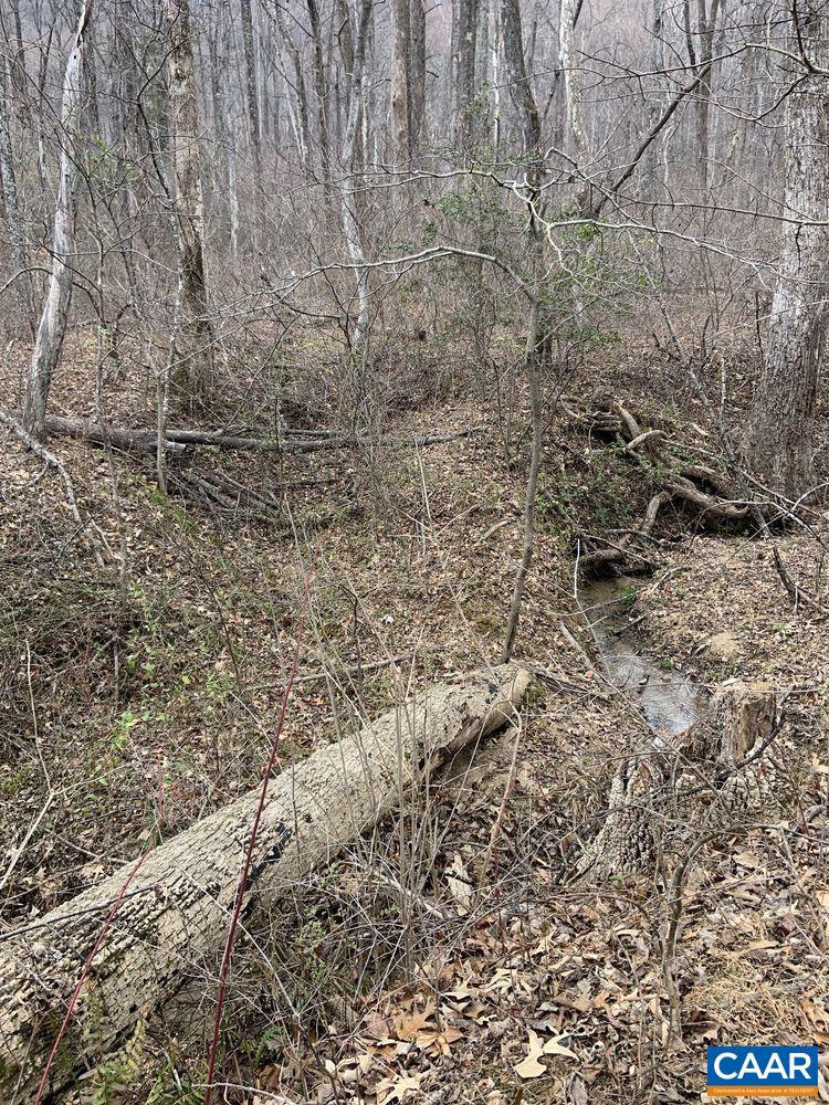 DUDLEY MOUNTAIN RD, NORTH GARDEN, Virginia 22959, ,Land,For sale,DUDLEY MOUNTAIN RD,667914 MLS # 667914