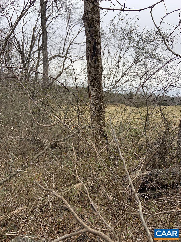 DUDLEY MOUNTAIN RD, NORTH GARDEN, Virginia 22959, ,Land,For sale,DUDLEY MOUNTAIN RD,667914 MLS # 667914