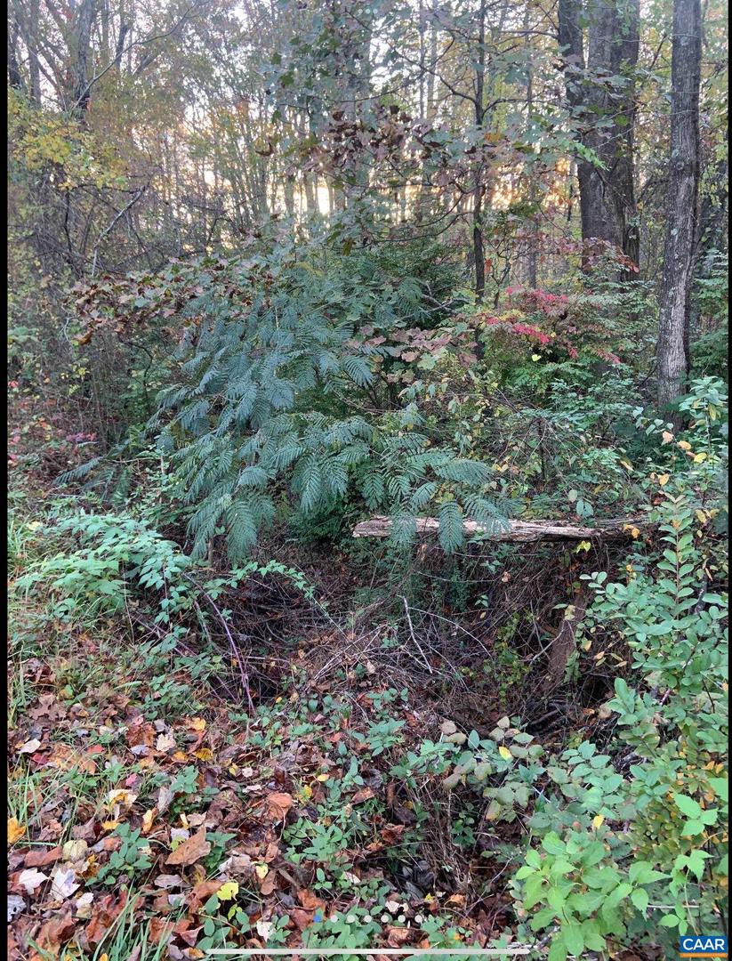 DUDLEY MOUNTAIN RD, NORTH GARDEN, Virginia 22959, ,Land,For sale,DUDLEY MOUNTAIN RD,667914 MLS # 667914
