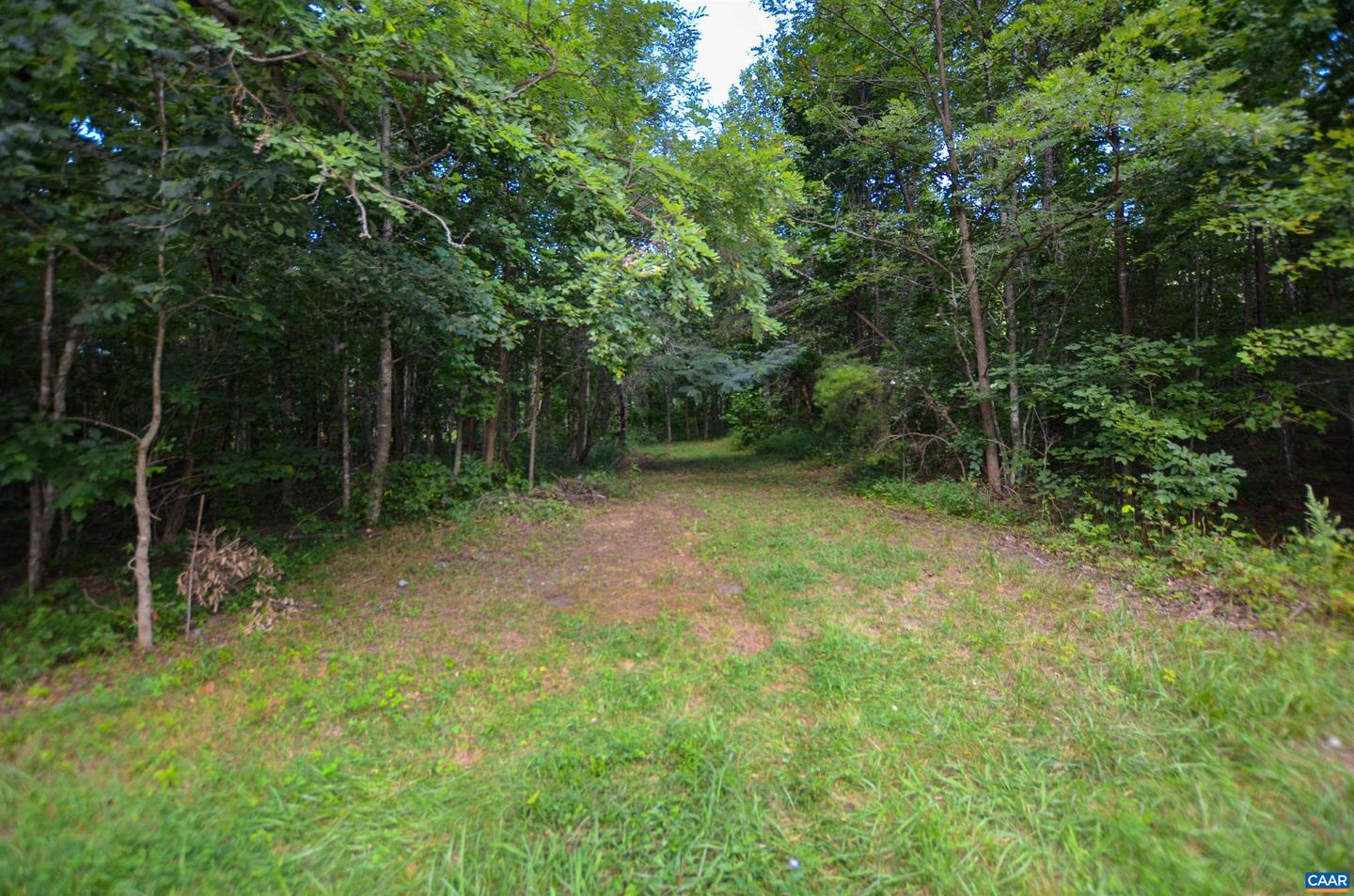 DUDLEY MOUNTAIN RD, NORTH GARDEN, Virginia 22959, ,Land,For sale,DUDLEY MOUNTAIN RD,667914 MLS # 667914