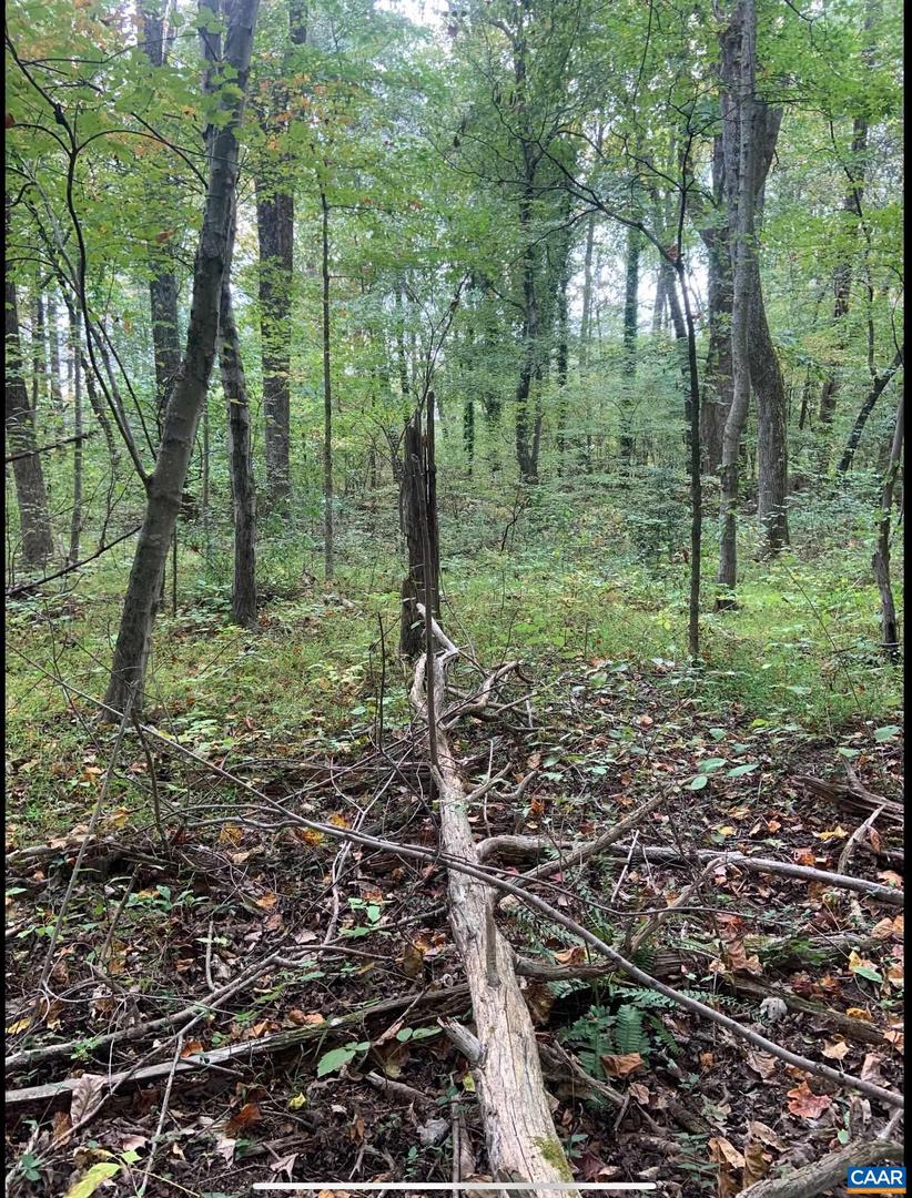 DUDLEY MOUNTAIN RD, NORTH GARDEN, Virginia 22959, ,Land,For sale,DUDLEY MOUNTAIN RD,667914 MLS # 667914