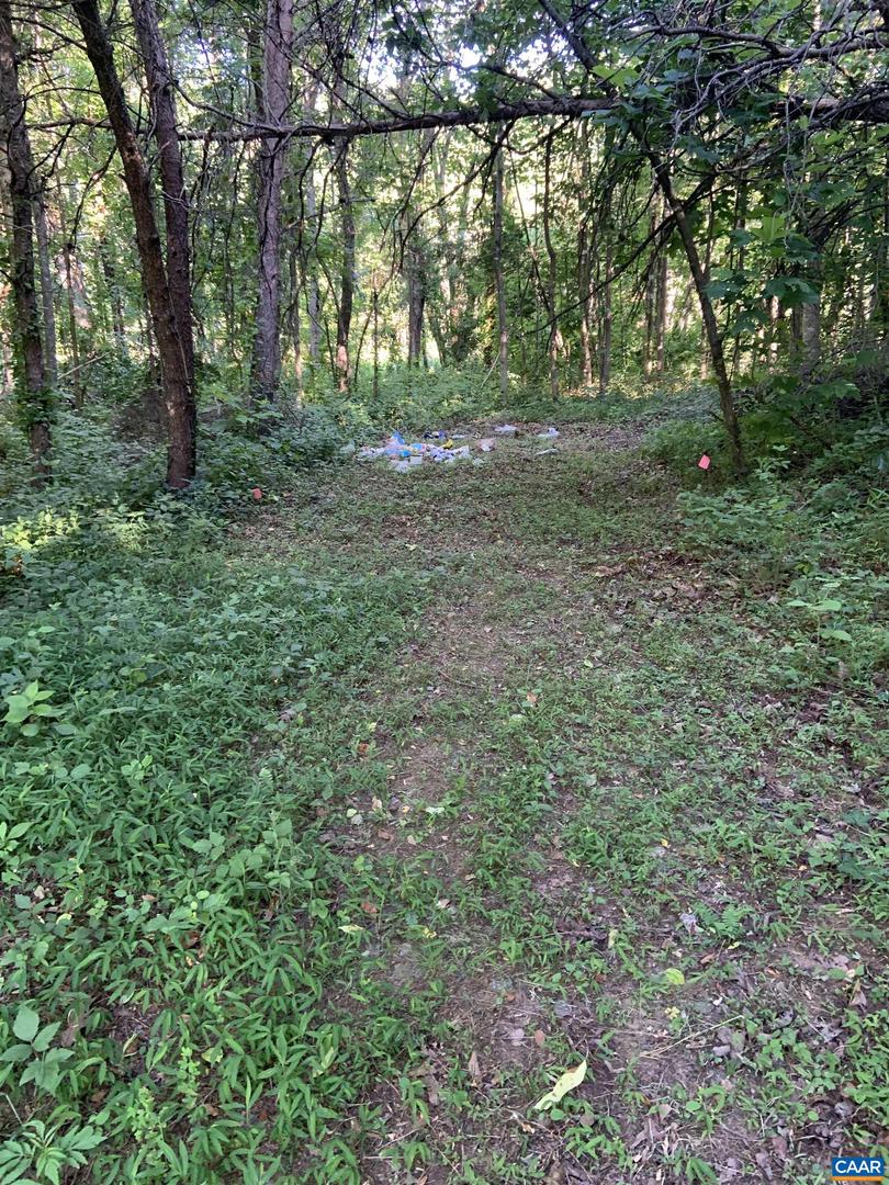 DUDLEY MOUNTAIN RD, NORTH GARDEN, Virginia 22959, ,Land,For sale,DUDLEY MOUNTAIN RD,667914 MLS # 667914