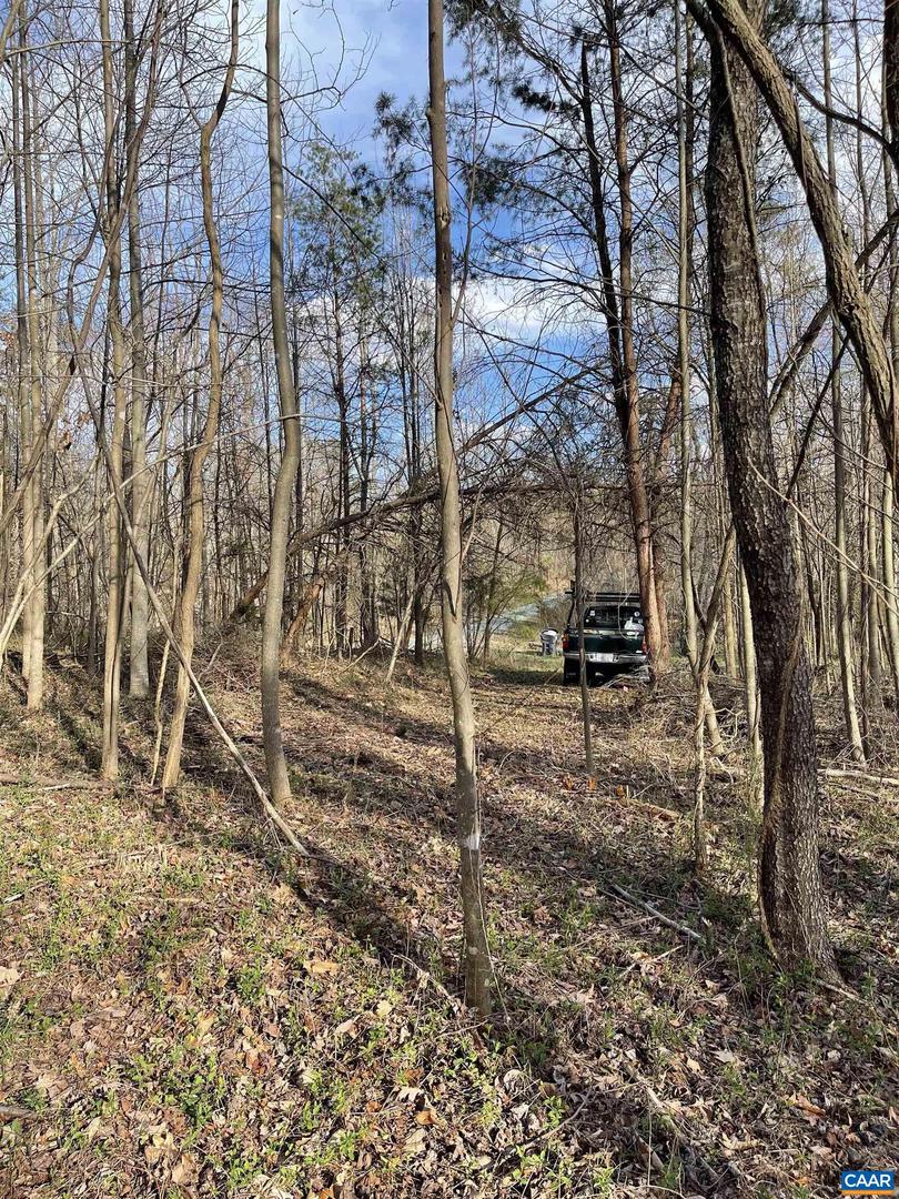 DUDLEY MOUNTAIN RD, NORTH GARDEN, Virginia 22959, ,Land,For sale,DUDLEY MOUNTAIN RD,667914 MLS # 667914
