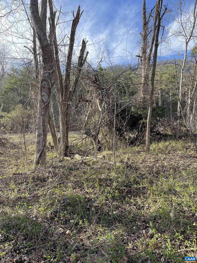 DUDLEY MOUNTAIN RD, NORTH GARDEN, Virginia 22959, ,Land,For sale,DUDLEY MOUNTAIN RD,667914 MLS # 667914