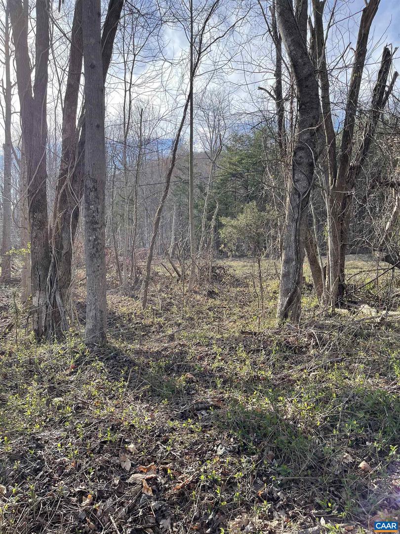 DUDLEY MOUNTAIN RD, NORTH GARDEN, Virginia 22959, ,Land,For sale,DUDLEY MOUNTAIN RD,667914 MLS # 667914