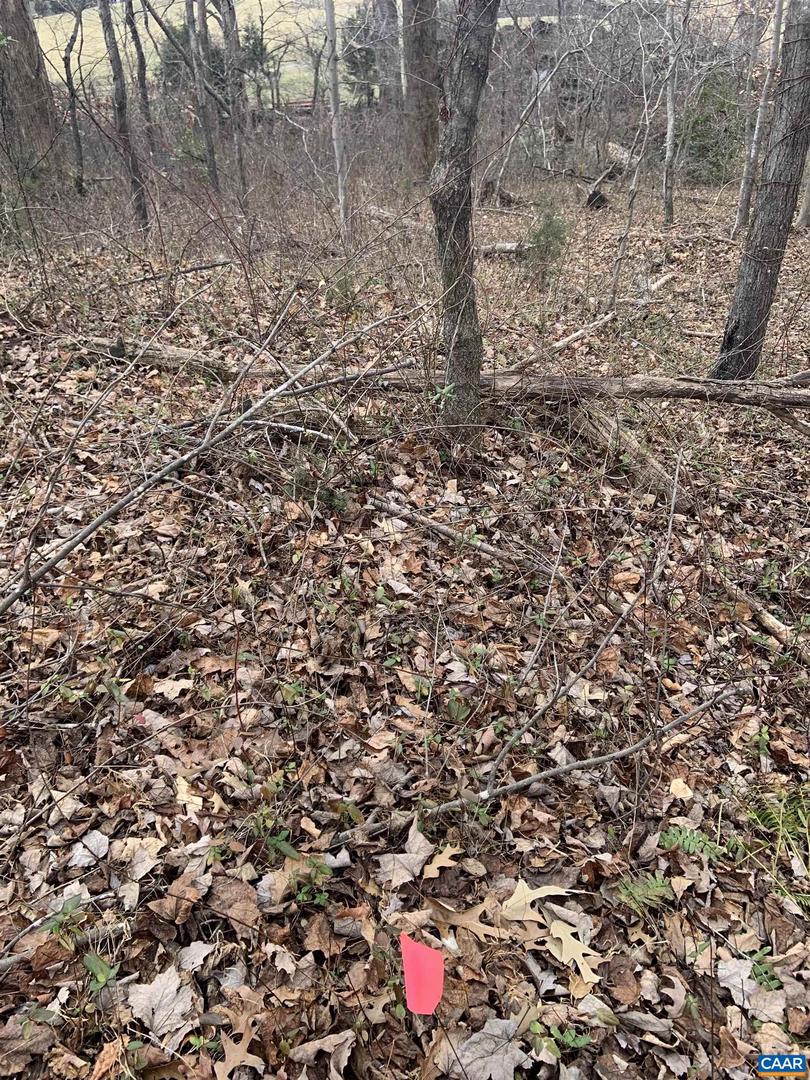 DUDLEY MOUNTAIN RD, NORTH GARDEN, Virginia 22959, ,Land,For sale,DUDLEY MOUNTAIN RD,667914 MLS # 667914