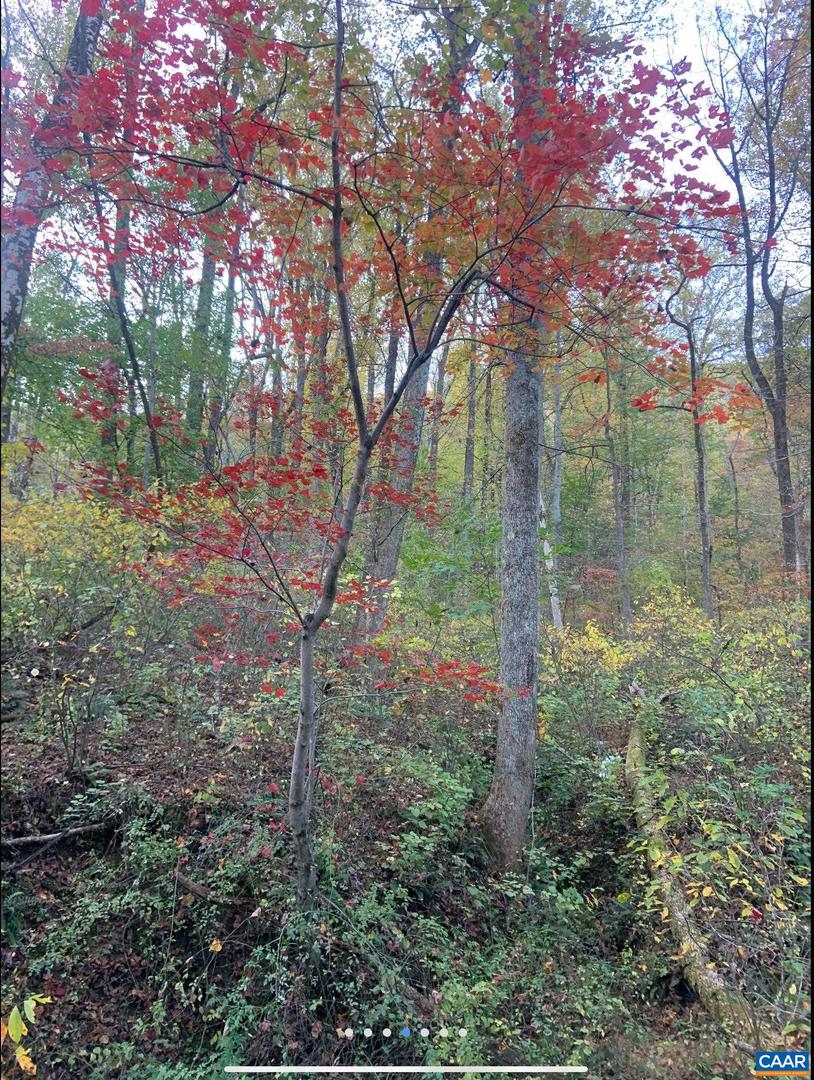 DUDLEY MOUNTAIN RD, NORTH GARDEN, Virginia 22959, ,Land,For sale,DUDLEY MOUNTAIN RD,667914 MLS # 667914