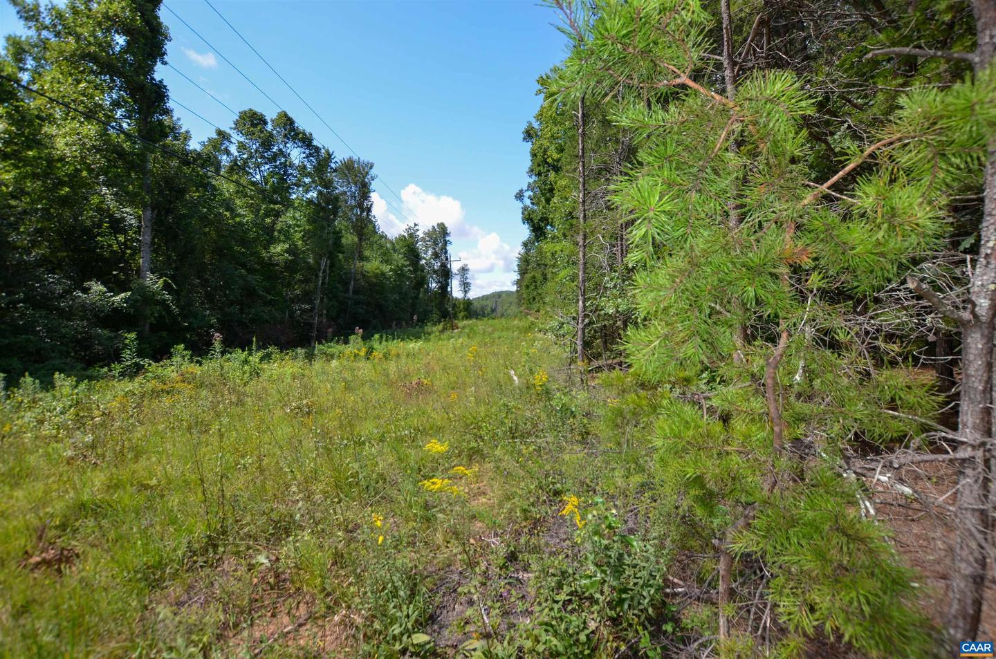 DUDLEY MOUNTAIN RD, NORTH GARDEN, Virginia 22959, ,Land,For sale,DUDLEY MOUNTAIN RD,667914 MLS # 667914