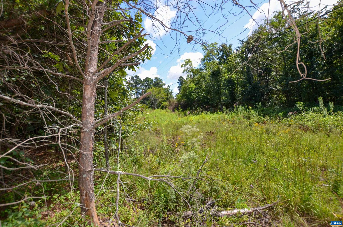 DUDLEY MOUNTAIN RD, NORTH GARDEN, Virginia 22959, ,Land,For sale,DUDLEY MOUNTAIN RD,667914 MLS # 667914