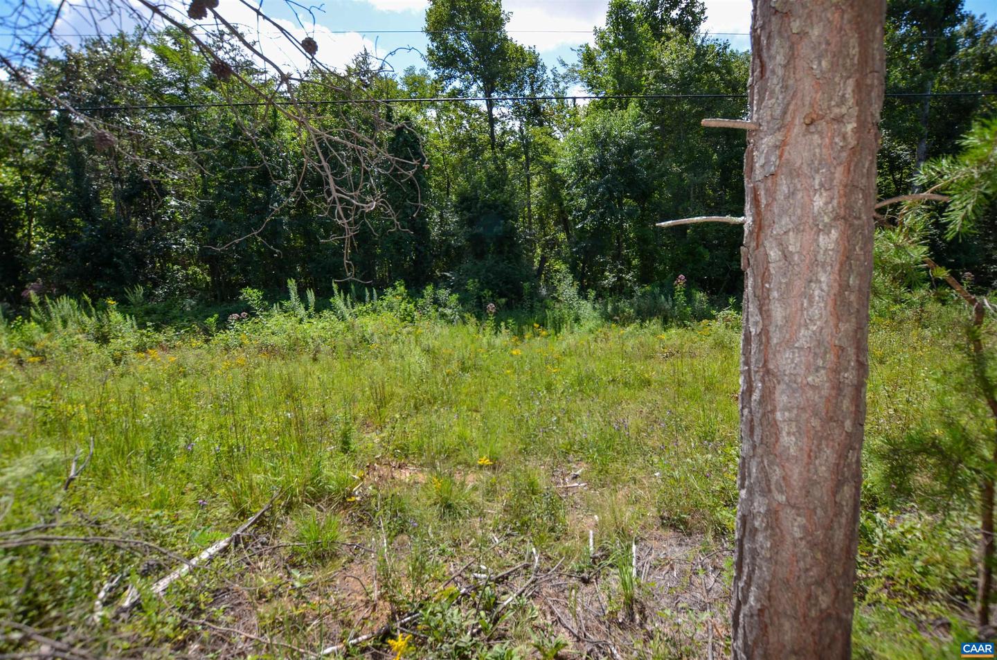 DUDLEY MOUNTAIN RD, NORTH GARDEN, Virginia 22959, ,Land,For sale,DUDLEY MOUNTAIN RD,667914 MLS # 667914