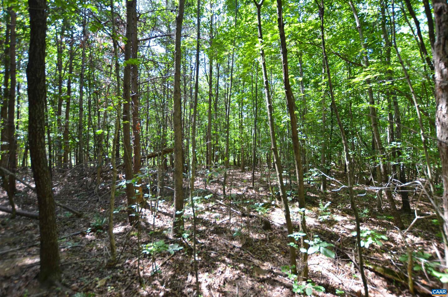 DUDLEY MOUNTAIN RD, NORTH GARDEN, Virginia 22959, ,Land,For sale,DUDLEY MOUNTAIN RD,667914 MLS # 667914