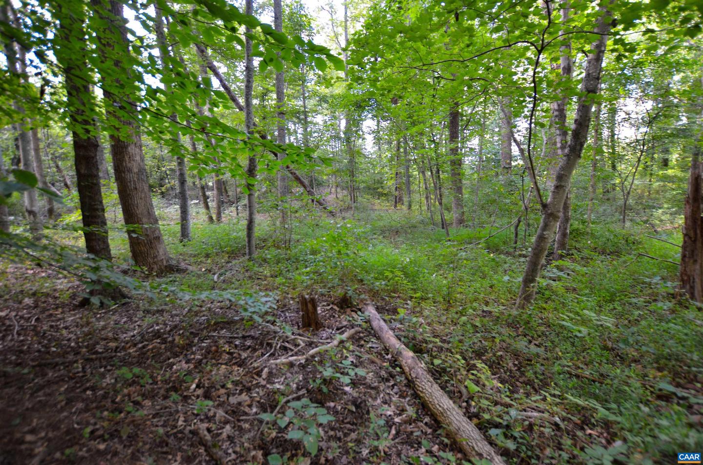 DUDLEY MOUNTAIN RD, NORTH GARDEN, Virginia 22959, ,Land,For sale,DUDLEY MOUNTAIN RD,667914 MLS # 667914