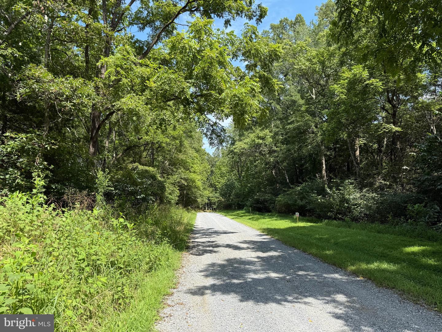 1 MAYS FARM RD, FOREST, Virginia 24551, ,Land,For sale,1 MAYS FARM RD,VABV2000230 MLS # VABV2000230