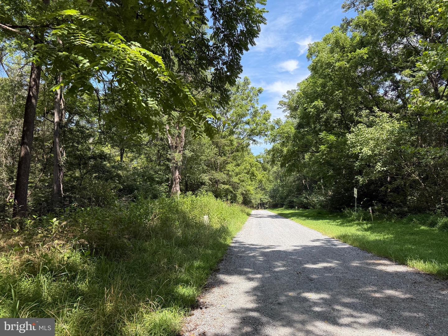 1 MAYS FARM RD, FOREST, Virginia 24551, ,Land,For sale,1 MAYS FARM RD,VABV2000230 MLS # VABV2000230
