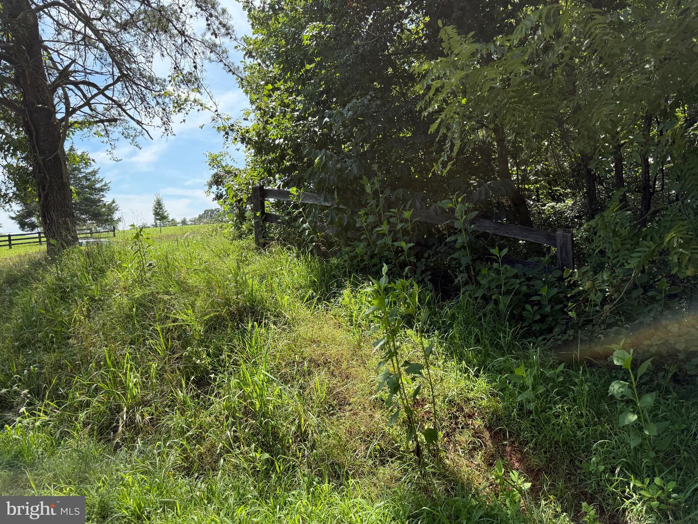 1 MAYS FARM RD, FOREST, Virginia 24551, ,Land,For sale,1 MAYS FARM RD,VABV2000230 MLS # VABV2000230