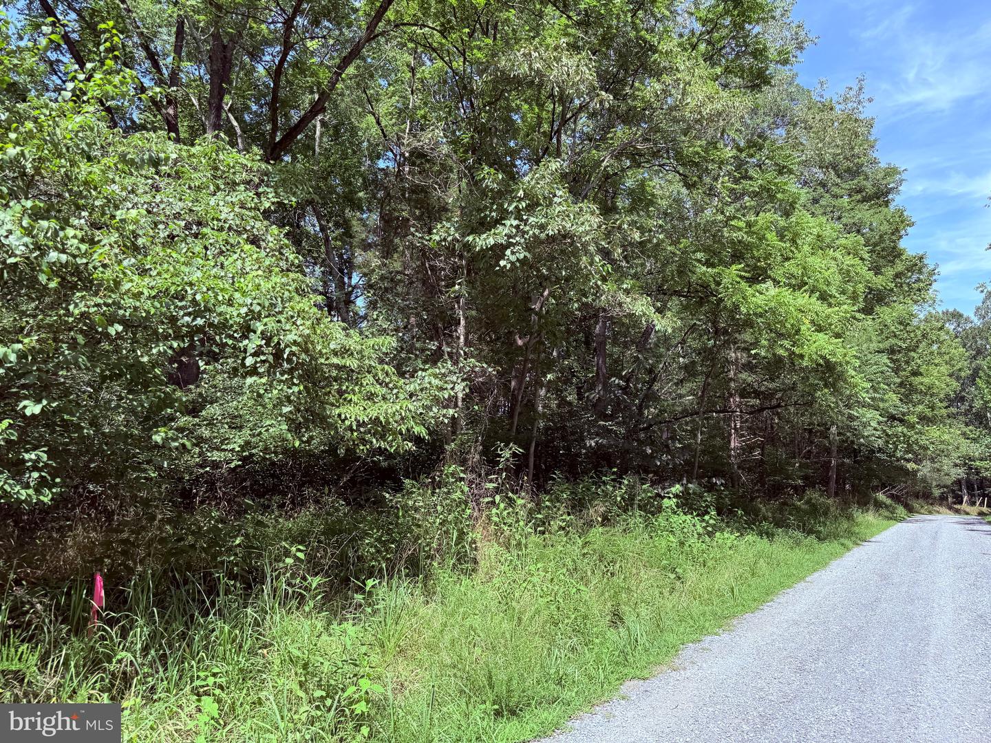 2 MAYS FARM RD, FOREST, Virginia 24551, ,Land,For sale,2 MAYS FARM RD,VABV2000232 MLS # VABV2000232