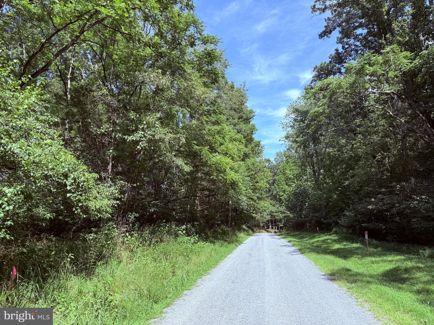 2 MAYS FARM RD, FOREST, Virginia 24551, ,Land,For sale,2 MAYS FARM RD,VABV2000232 MLS # VABV2000232