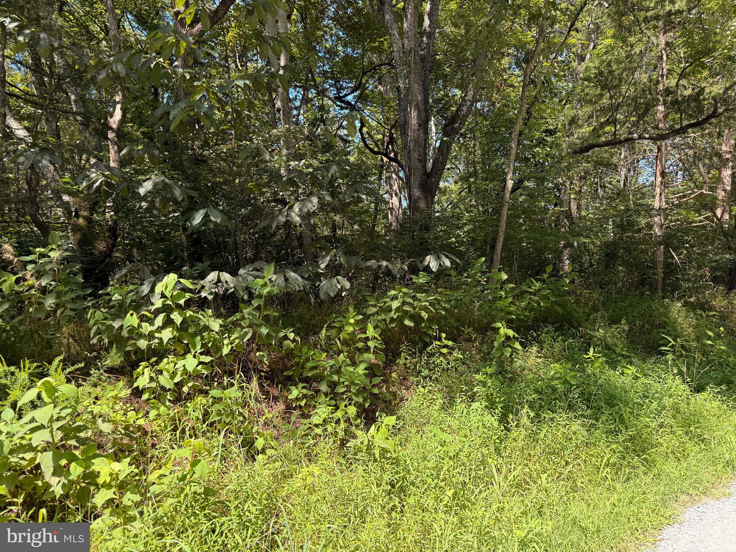 2 MAYS FARM RD, FOREST, Virginia 24551, ,Land,For sale,2 MAYS FARM RD,VABV2000232 MLS # VABV2000232