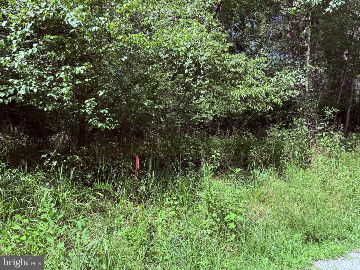3 MAYS FARM RD, FOREST, Virginia 24551, ,Land,For sale,3 MAYS FARM RD,VABV2000234 MLS # VABV2000234