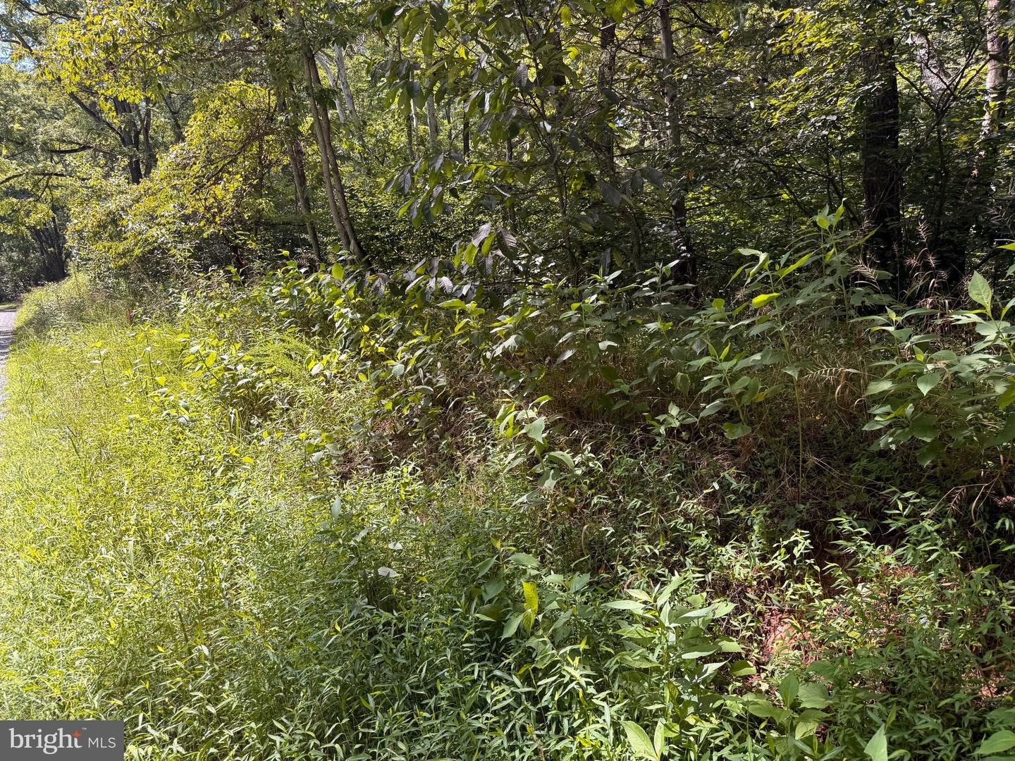 3 MAYS FARM RD, FOREST, Virginia 24551, ,Land,For sale,3 MAYS FARM RD,VABV2000234 MLS # VABV2000234