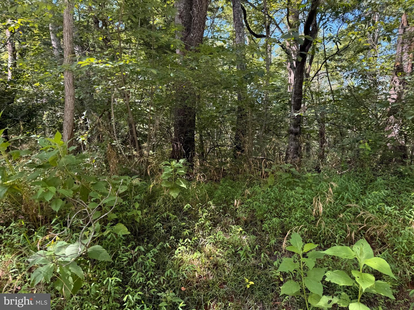 3 MAYS FARM RD, FOREST, Virginia 24551, ,Land,For sale,3 MAYS FARM RD,VABV2000234 MLS # VABV2000234