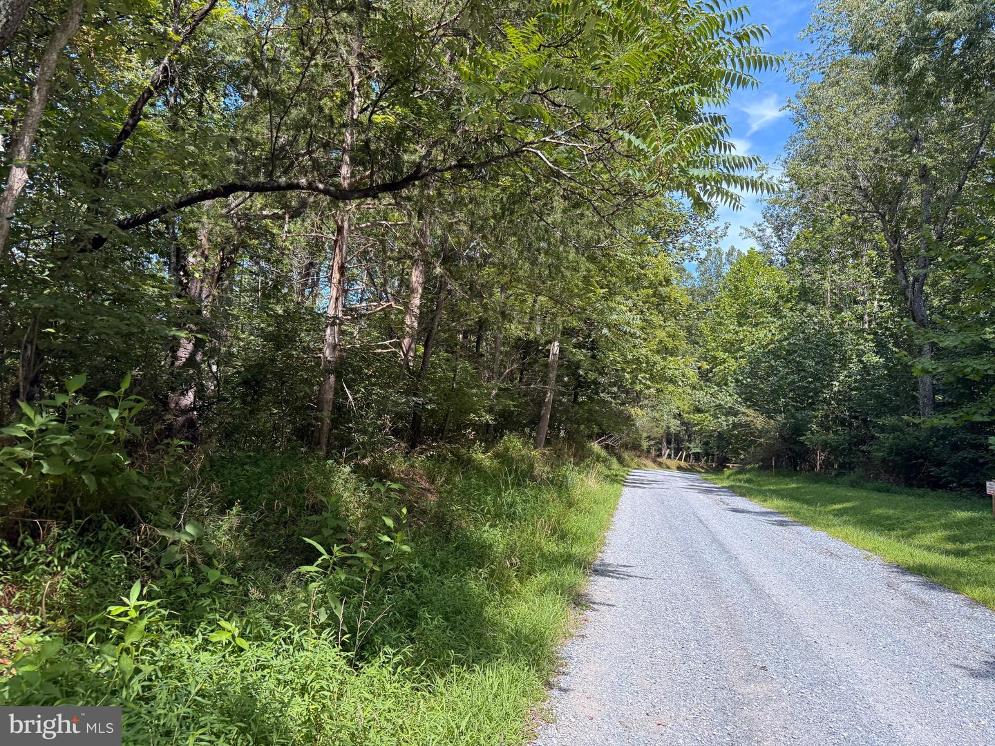 3 MAYS FARM RD, FOREST, Virginia 24551, ,Land,For sale,3 MAYS FARM RD,VABV2000234 MLS # VABV2000234