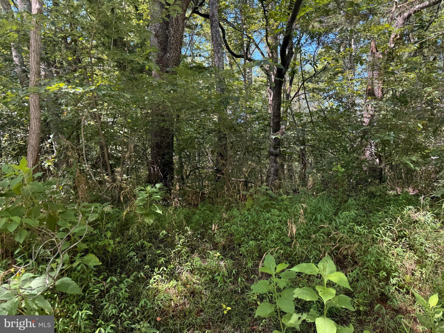 3 MAYS FARM RD, FOREST, Virginia 24551, ,Land,For sale,3 MAYS FARM RD,VABV2000234 MLS # VABV2000234