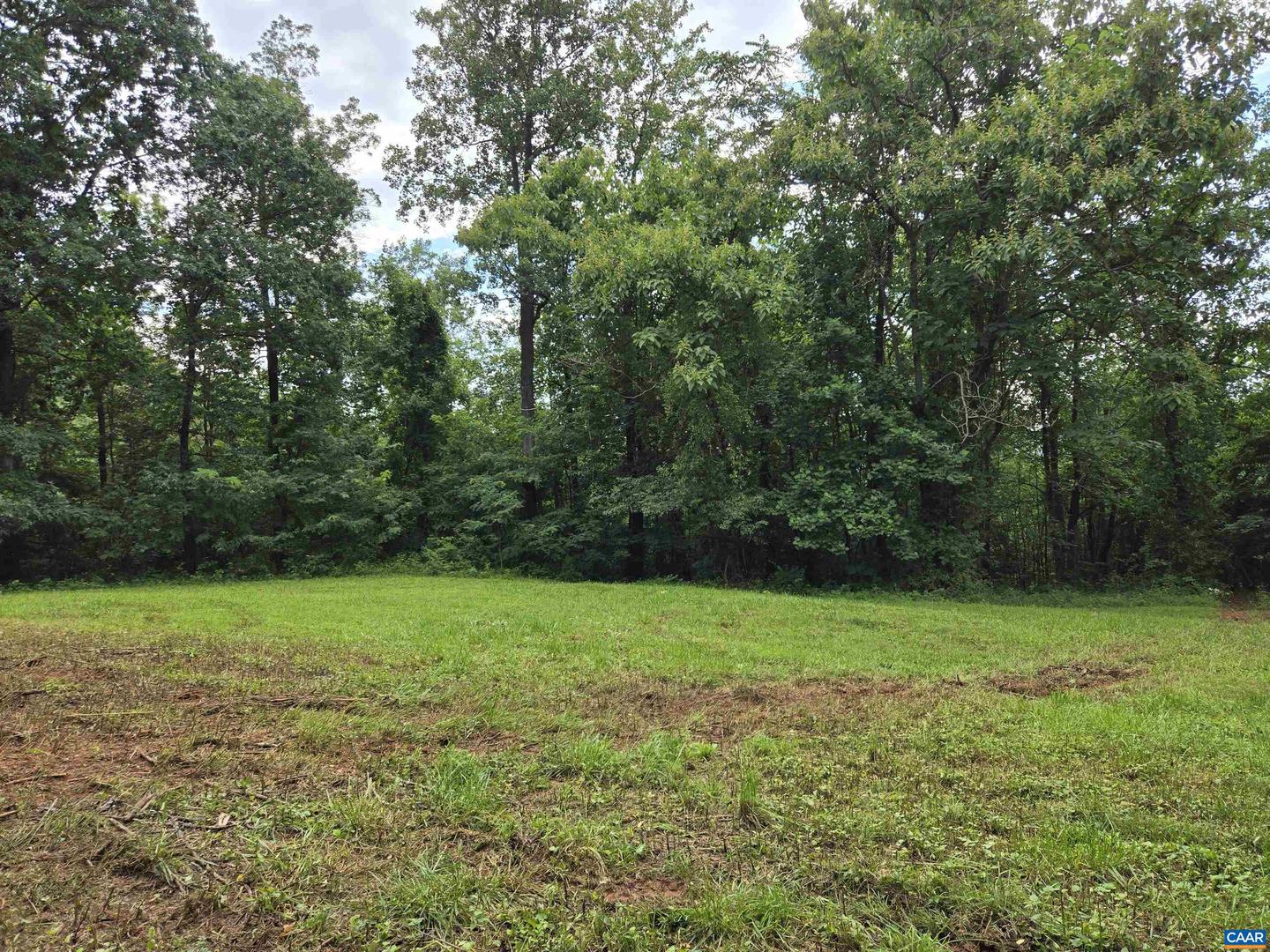 8 GREENWOOD HOLLOW, GREENWOOD, Virginia 22943, ,Land,For sale,8 GREENWOOD HOLLOW,667926 MLS # 667926