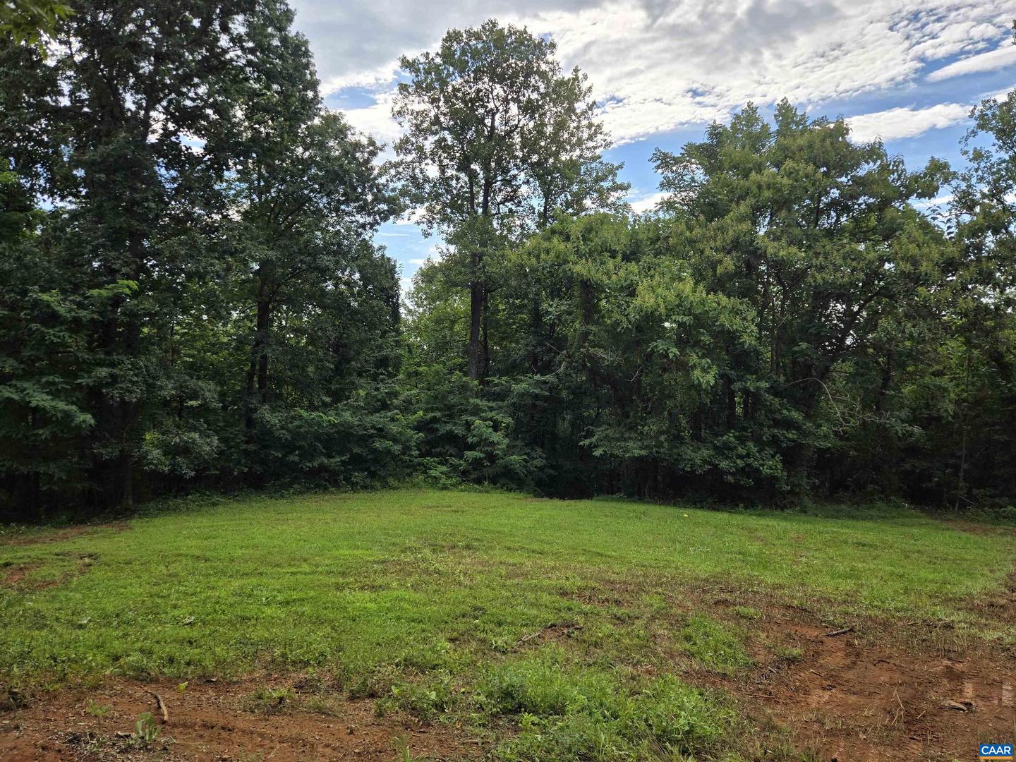 8 GREENWOOD HOLLOW, GREENWOOD, Virginia 22943, ,Land,For sale,8 GREENWOOD HOLLOW,667926 MLS # 667926