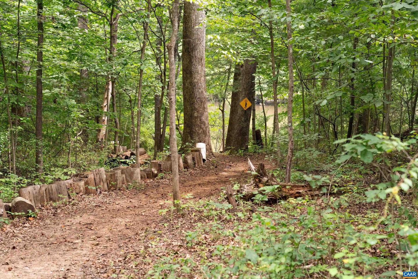 336 BEAR RUN RD, STANARDSVILLE, Virginia 22973, 4 Bedrooms Bedrooms, ,3 BathroomsBathrooms,Residential,For sale,336 BEAR RUN RD,667885 MLS # 667885