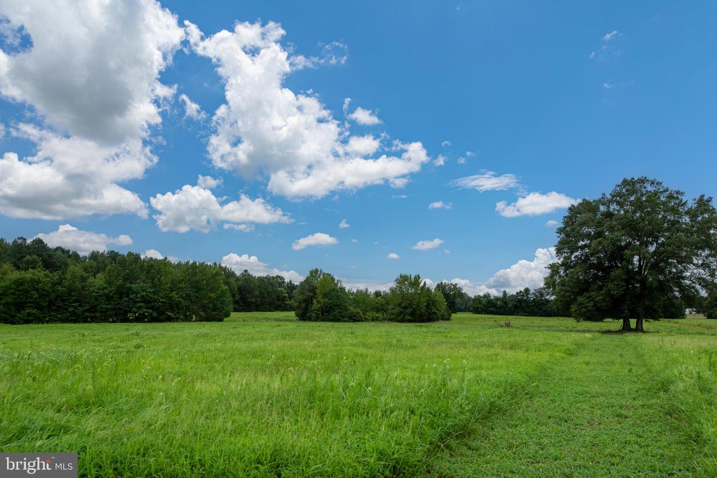 16233 BULLOCKS RD, WOODFORD, Virginia 22580, 7 Bedrooms Bedrooms, 11 Rooms Rooms,4 BathroomsBathrooms,Residential,For sale,16233 BULLOCKS RD,VACV2008628 MLS # VACV2008628