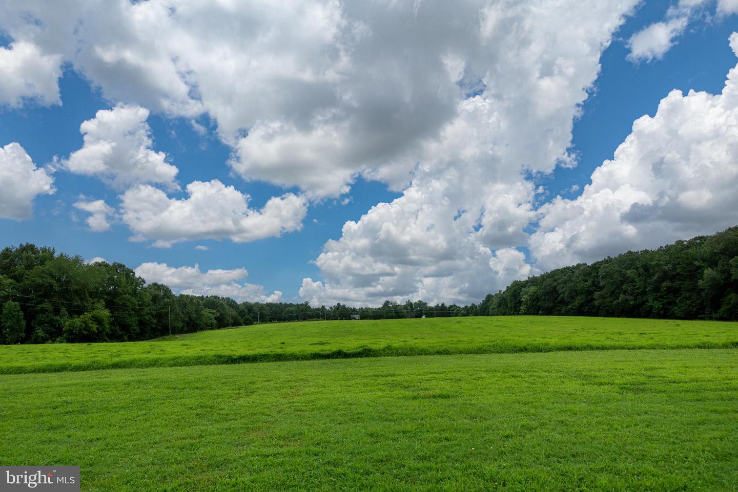 16233 BULLOCKS RD, WOODFORD, Virginia 22580, 7 Bedrooms Bedrooms, 11 Rooms Rooms,4 BathroomsBathrooms,Residential,For sale,16233 BULLOCKS RD,VACV2008628 MLS # VACV2008628