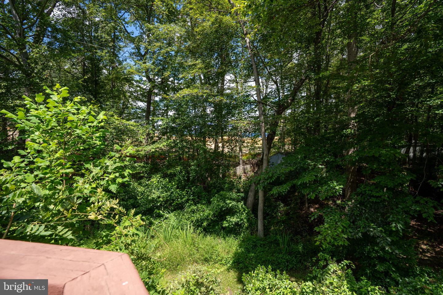 6 AMBER CT, FREDERICKSBURG, Virginia 22406, 5 Bedrooms Bedrooms, ,3 BathroomsBathrooms,Residential,For sale,6 AMBER CT,VAST2041584 MLS # VAST2041584