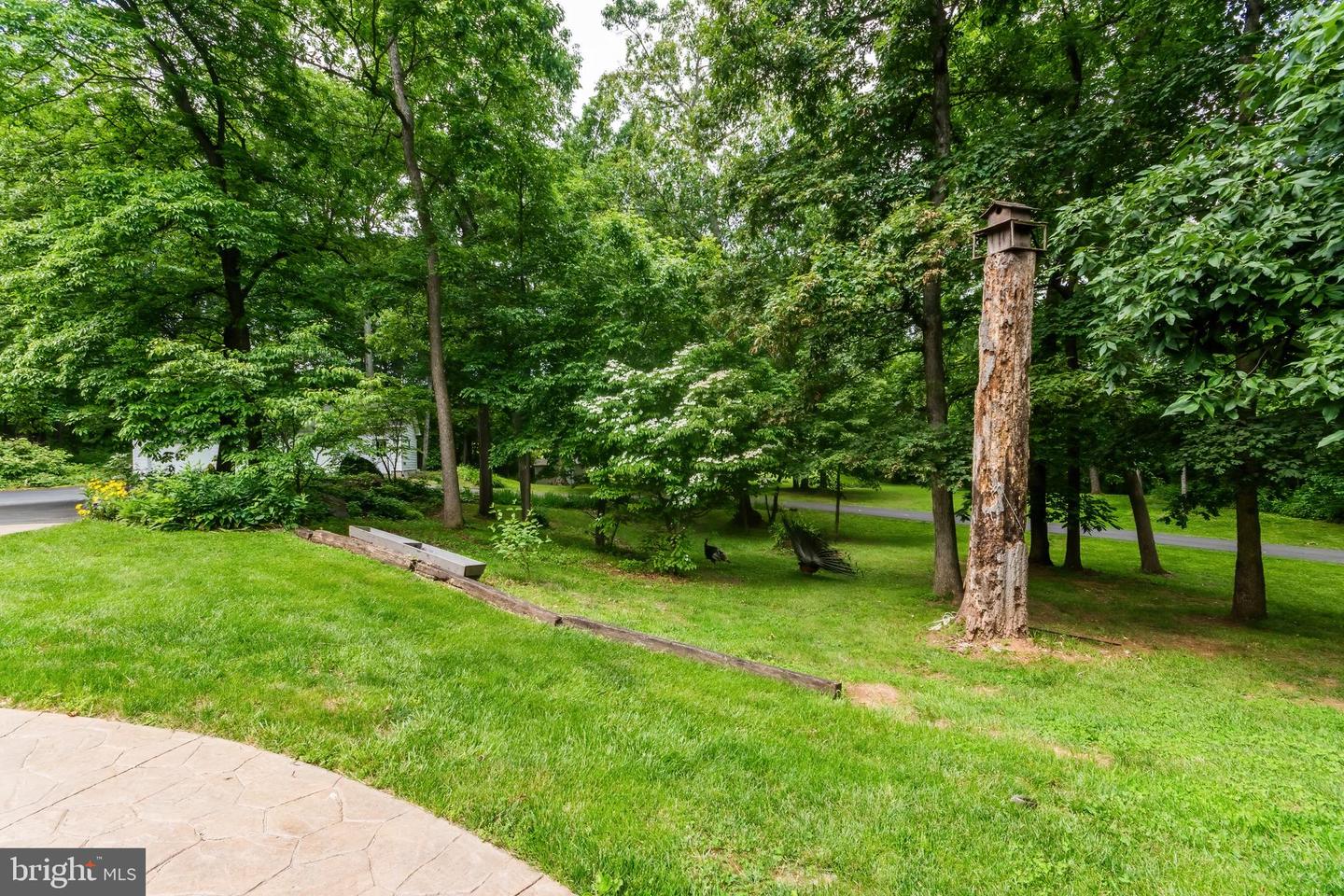 430 SADDLEBACK LN, WINCHESTER, Virginia 22602, 4 Bedrooms Bedrooms, ,3 BathroomsBathrooms,Residential,For sale,430 SADDLEBACK LN,VAFV2036046 MLS # VAFV2036046