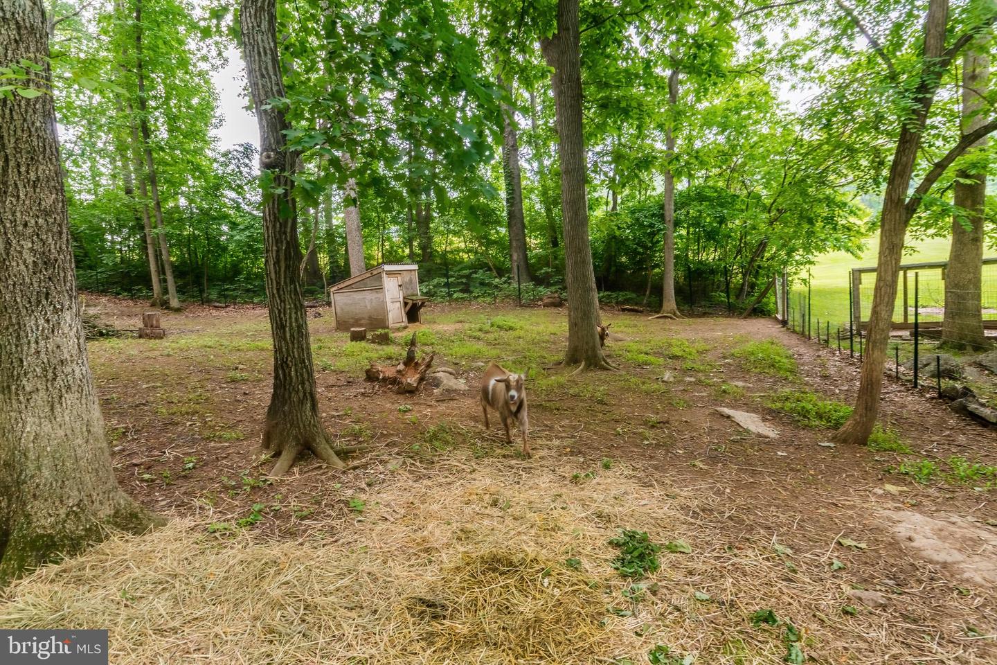 430 SADDLEBACK LN, WINCHESTER, Virginia 22602, 4 Bedrooms Bedrooms, ,3 BathroomsBathrooms,Residential,For sale,430 SADDLEBACK LN,VAFV2036046 MLS # VAFV2036046