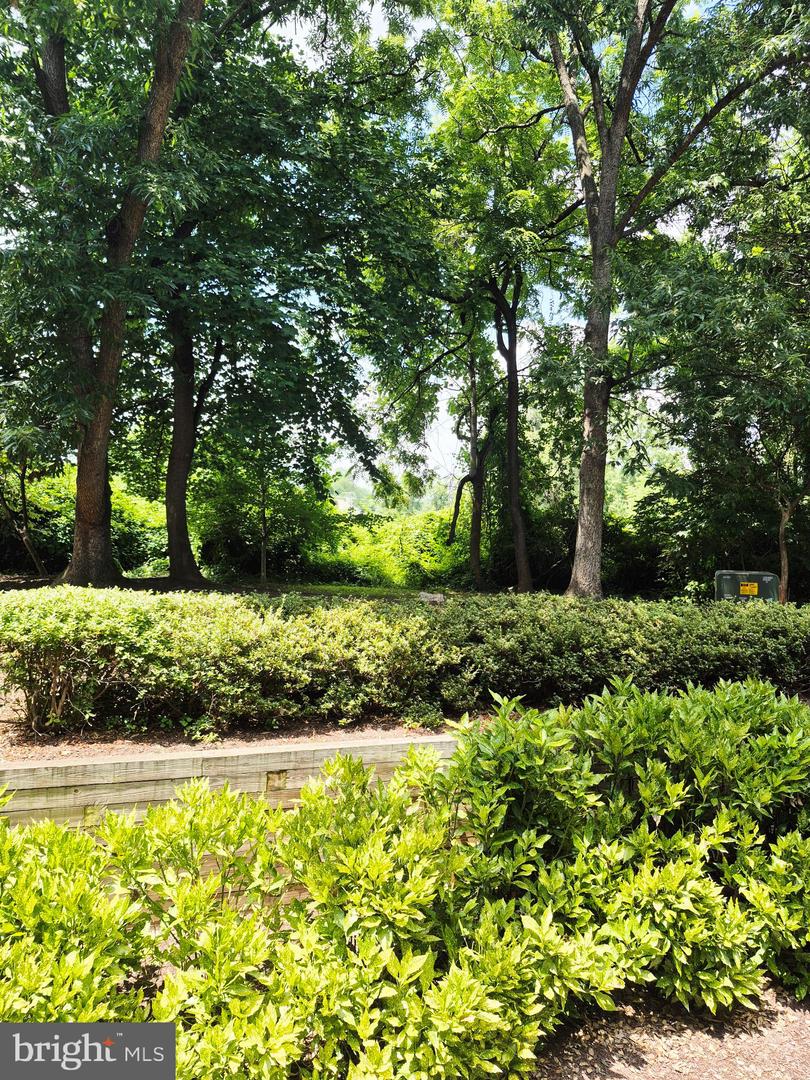 10192 OAKTON TERRACE RD, OAKTON, Virginia 22124, 1 Bedroom Bedrooms, 6 Rooms Rooms,1 BathroomBathrooms,Residential,For sale,10192 OAKTON TERRACE RD,VAFX2261270 MLS # VAFX2261270