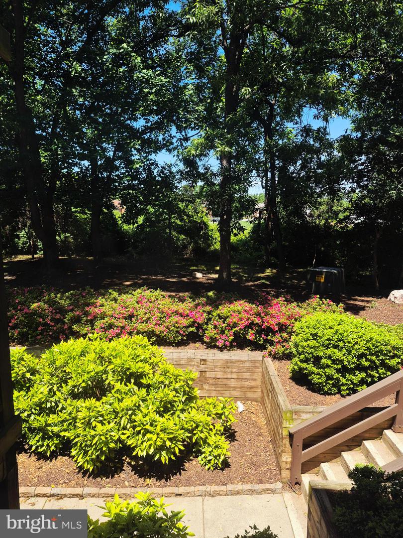 10192 OAKTON TERRACE RD, OAKTON, Virginia 22124, 1 Bedroom Bedrooms, 6 Rooms Rooms,1 BathroomBathrooms,Residential,For sale,10192 OAKTON TERRACE RD,VAFX2261270 MLS # VAFX2261270